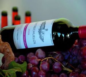 Una rama de la familia Domecq pone en marcha la bodega Entrechuelos