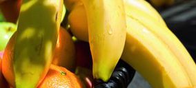 La UE alcanza acuerdo con Latinoamérica y EE.UU. para reducir los aranceles del plátano