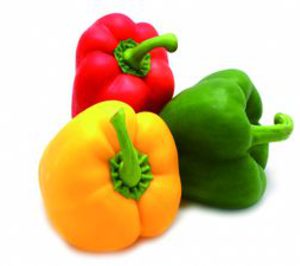 CONSERVAS ALGUAZAS desembarca en Chile