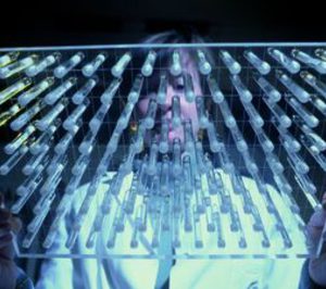 La industria alimentaria europea aumenta su inversión en I+D