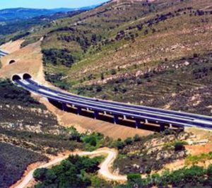 La licitación oficial viene a parchear el temporal