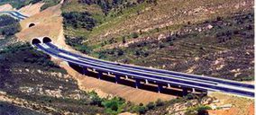 La licitación oficial viene a parchear el temporal