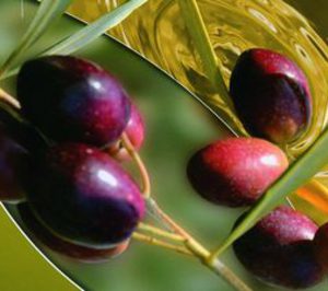 Los productores de aceite de oliva se unen