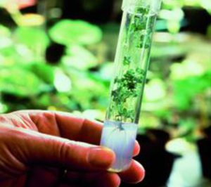 Omega 3: Los preparados lácteos dominan las ventas