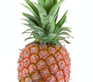 La piña se instala en la cesta de la compra