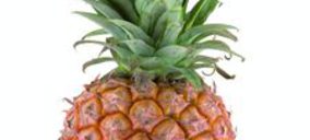 La piña se instala en la cesta de la compra