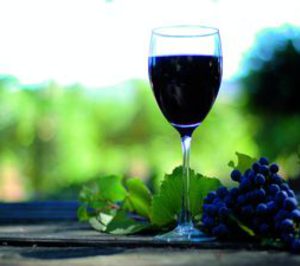 La OCM del vino, por fin en España