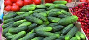 HORTYFRUTA crea “LOLA” para indentificar los productos hortofrutícolas andaluces 