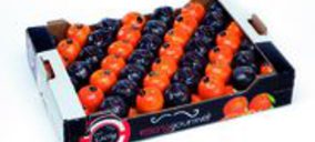 Exforpe lanza la gama premium Escrig Gourmet