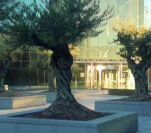 Cigna presenta nuevos productos de reembolso