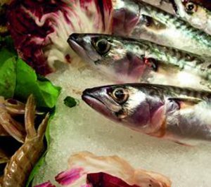 Congelados Natalia cesa actividad