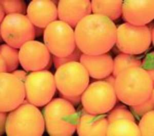 Frutas Ibáñez, en concurso de acreedores