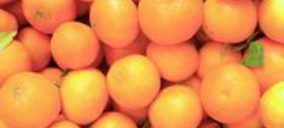 Frutas Ibáñez, en concurso de acreedores