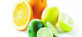 I.G.P. Cítricos Valencianos cierra 2009 con resultados positivos y nuevas firmas