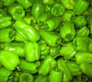 Los costes de producción encarecen el precio del pimiento verde