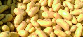 Asociafruit y CIPP alcanzan un acuerdo para promocionar la patata temprana