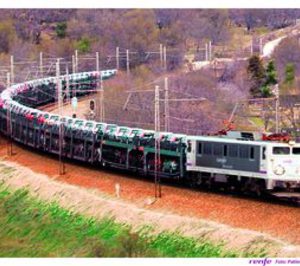 Renfe toma el control de los operadores ferroviarios Pecovasa y LTF