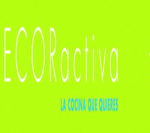 Activa Incasur finalmente redujo un 17% sus ventas en 2009