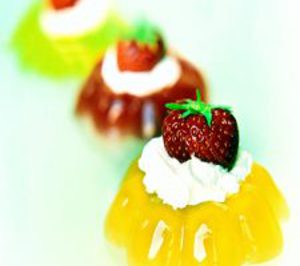 Juncà Gelatines busca socios industriales