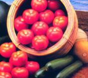 Tomates del Guadiana, 2 M para nuevas líneas