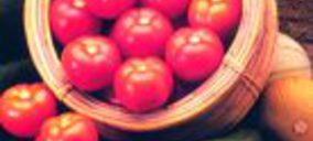 Tomates del Guadiana, 2 M para nuevas líneas