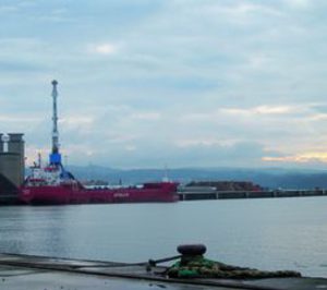 TMG incorpora un servicio de estiba de madera en el Puerto de Ferrol
