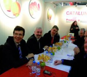 Catalonia Qualitat y Asofruit se integrarán bajo una misma organización