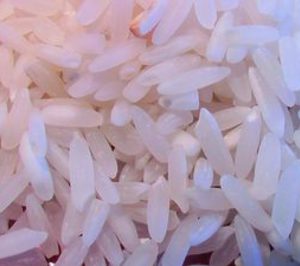 La Sagrada Familia invierte 1 M en la mejora de sus sistemas de conservación