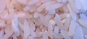 La Sagrada Familia invierte 1 M en la mejora de sus sistemas de conservación