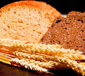 Nutrigal centralizará su producción en las dos plantas mañas