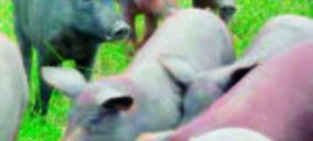 Rubado se pasa al jamón ibérico y vende la gala Lamador