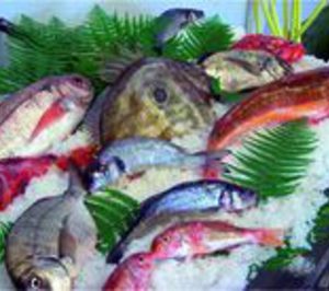 Presenta concurso voluntario la mayorista de pescado Frepesca