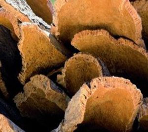 Corcho Jerez reduce las exportaciones