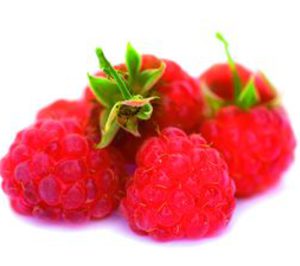 Disproquima inaugura una nueva filial en Casablanca