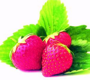 La Cámara de Comercio de Huelva promueve una fábrica de transformación y envasado