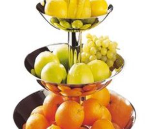 Las ventas de San Rafael Almansa caen sustancialmente en 2009