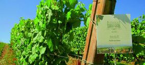 Nueva patente de Terras Gauda con el CSIC