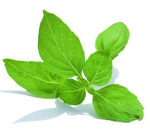 Daregal inaugura su planta, tras invertir 12 M