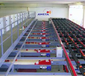 Fruits de Ponent invierte para especializarse en fruta de hueso