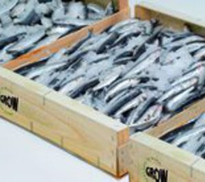 La mayorista de pescado congelado Marzal 2001 cesa actividad