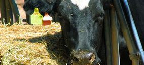 Prolec ficha a un ex de Danone