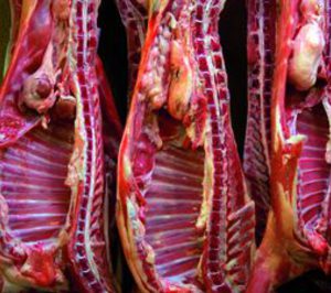 Pelbor analiza futuras inversiones con la idea de penetrar en EE.UU.