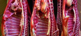 Pelbor analiza futuras inversiones con la idea de penetrar en EE.UU.