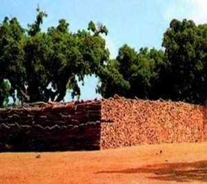 El Gobierno apoya la promoción del corcho