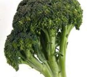 Congelados El Pedáneo entra en concurso