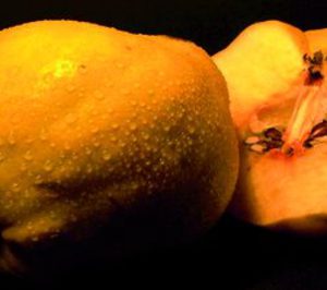 Dallant consolida su negocio internacional