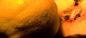 Dallant consolida su negocio internacional