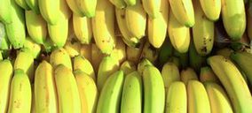 La posible fusión entre Cupalma y Agrupa confunde al sector