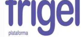 Frigel inicia la fabricación y envase de cubitos de hielo