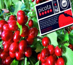 Las intalaciones de Agrupación de Cooperativas del Jerte sufren un incendio